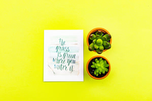 Friendship Card - The Grass is Green Where You Water It - Nikki Chu 05024